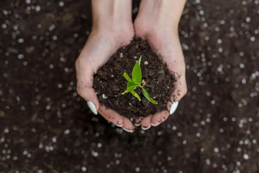 Reliable landscape installation for residential properties in Moravian Falls, NC by Hook and Ladder Landscaping