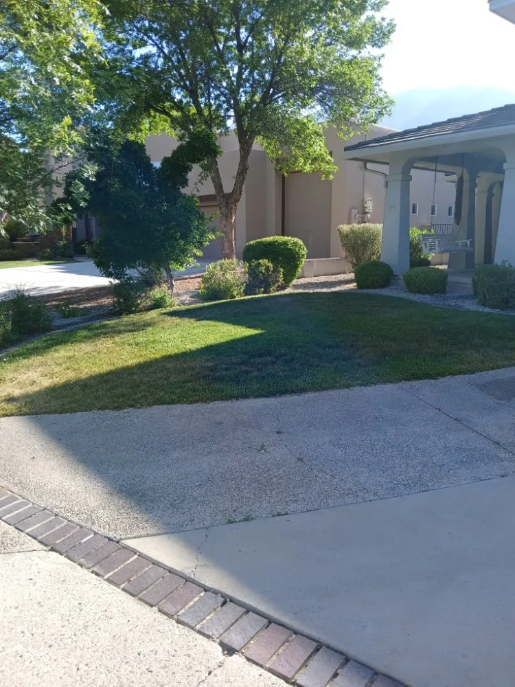 Affordable landscape design experts serving Corrales, NM - Hooley's Handyworx