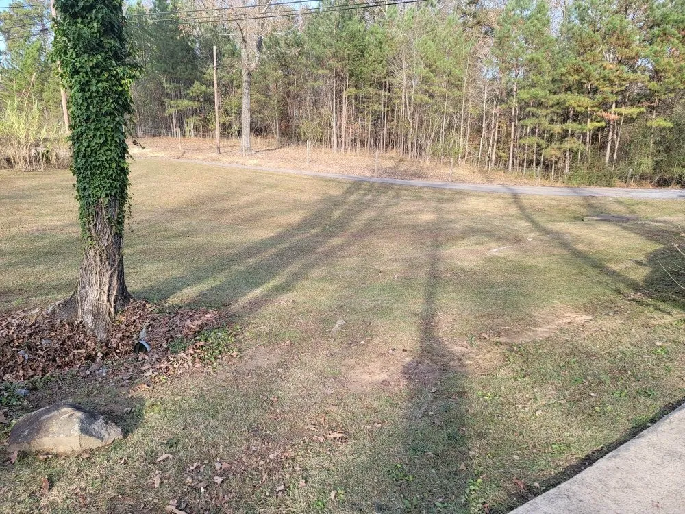 Reliable yard maintenance experts serving Haleyville, AL - Hoons Lawn Service and Maintenance