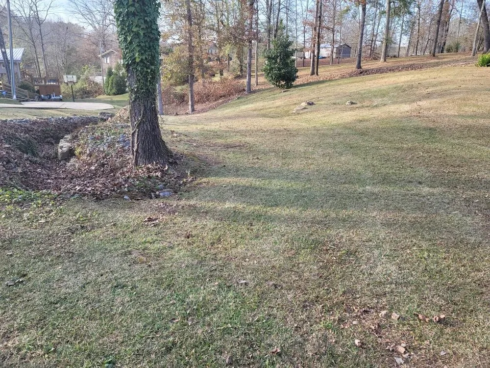 Top-rated landscape design in Haleyville, AL - Hoons Lawn Service and Maintenance
