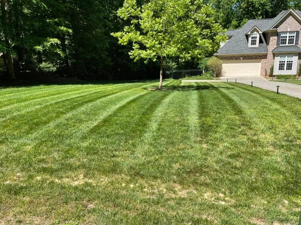 Local yard maintenance experts serving Dallas, NC - Hoopers Lawn Service