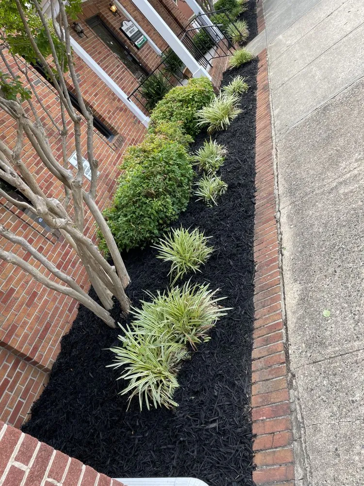 Reliable lawn mowing service for homes across Dallas, NC - Hoopers Lawn Service