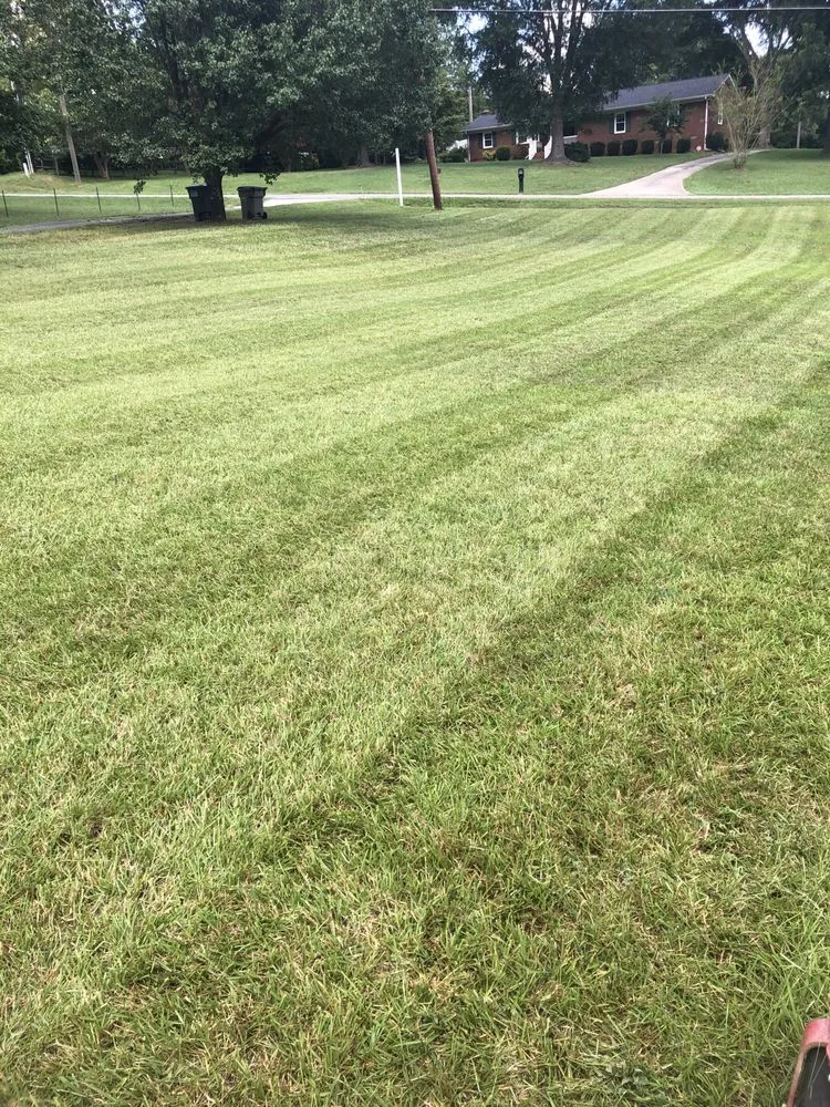 Expert yard cleanup service in Dallas, NC - Hoopers Lawn Service