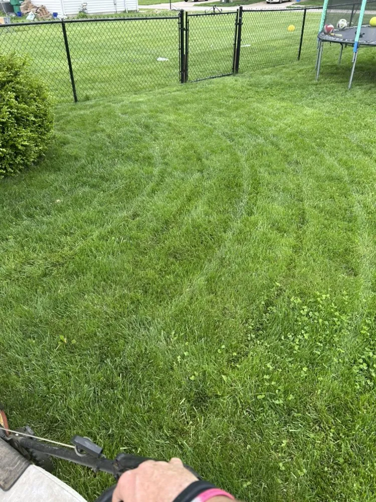 Top-rated lawn care service near you in Zionsville, IN by Hooseye Yards