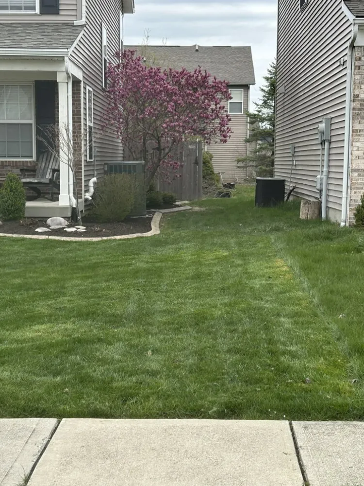 Reliable landscape design in Zionsville, IN - Hooseye Yards