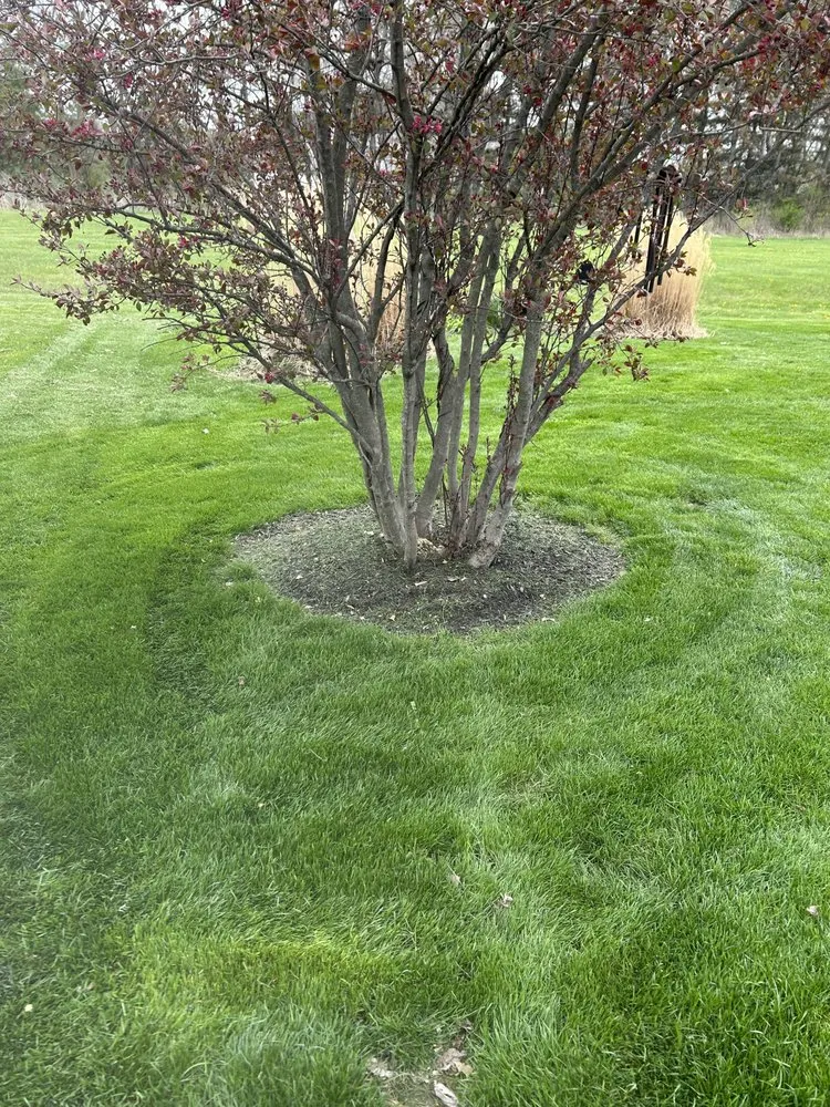 Local yard cleanup service for residential properties across Zionsville, IN - Hooseye Yards