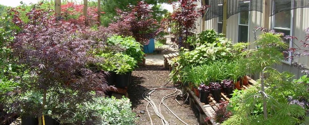 Reliable garden landscaping for residential properties across Sheridan, IN - Hoosier Home & Garden