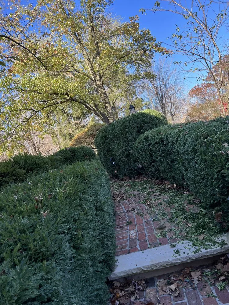 Expert landscape design experts serving Fishers, IN - Hoosier Homes Lawn & Landscape