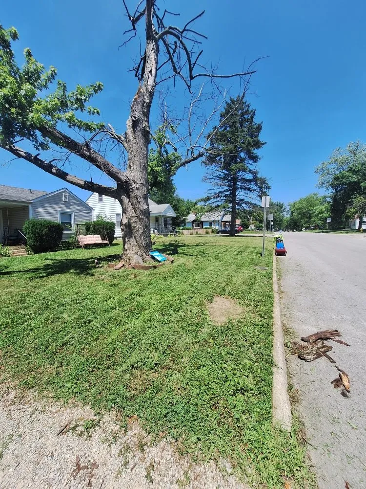 Trusted lawn mowing service experts serving Muncie, IN - Hoosier Land Care