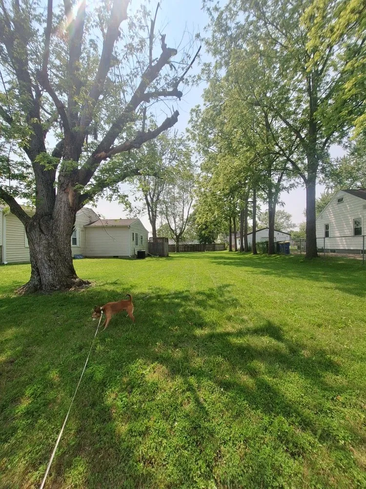 Affordable landscaping services near you across Muncie, IN - Hoosier Land Care