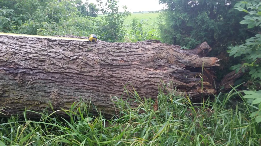 Professional lawn mowing service in Beech Grove, IN by Hoosier Lawn Solutions