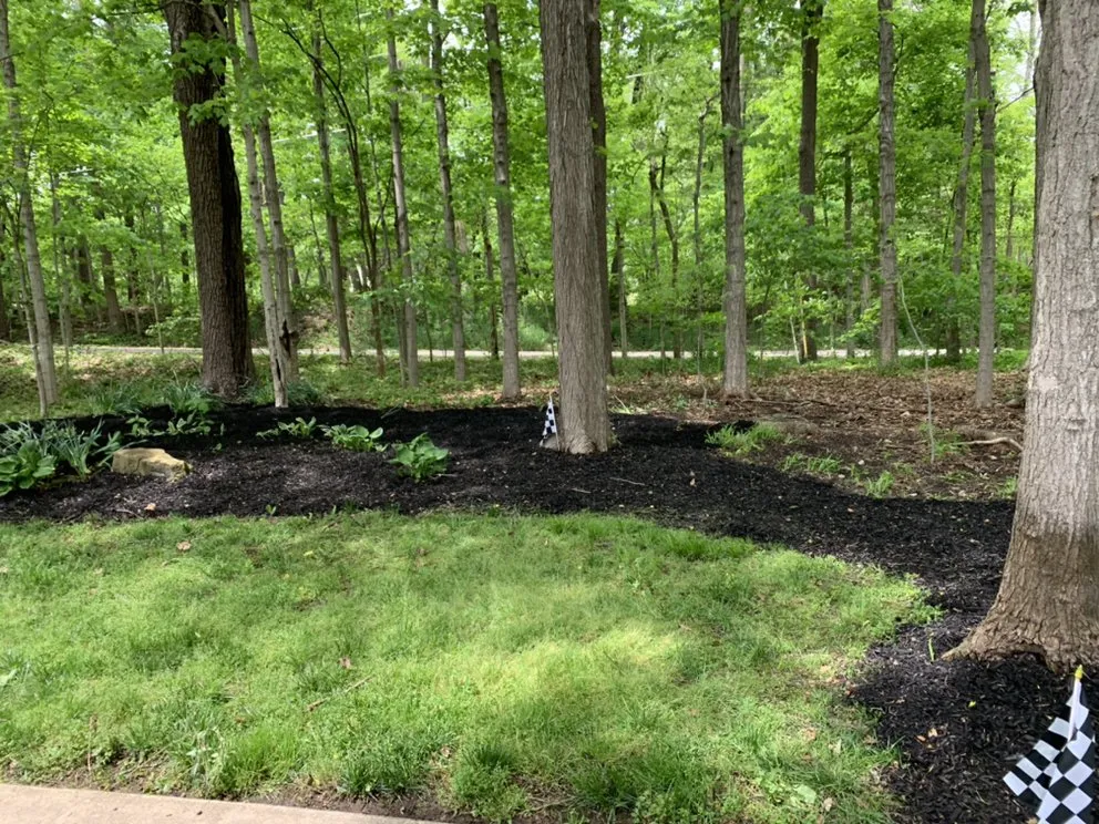 Reliable lawn care service for residential properties in Indianapolis, IN by Hoosier Pride Lawn Care