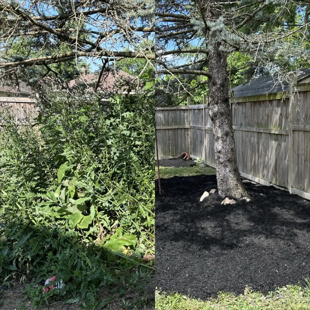 Top-rated landscaping services in Indianapolis, IN - Hoosier Pride Lawn Care