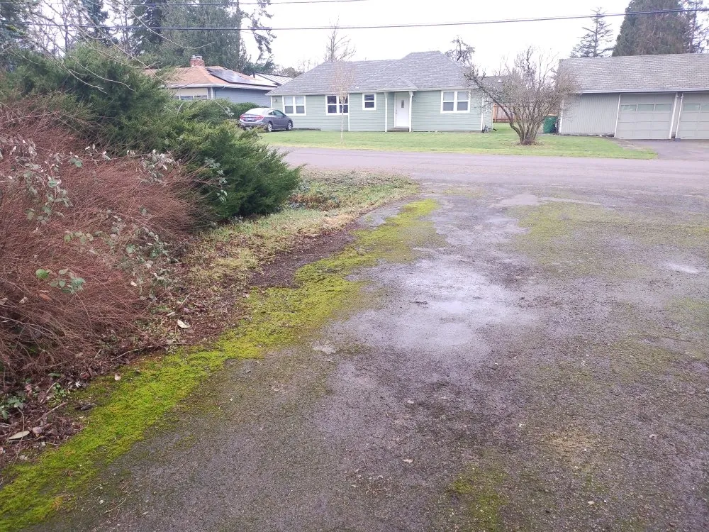 Professional yard maintenance with custom design across Tualatin, OR - Hoot & Holler