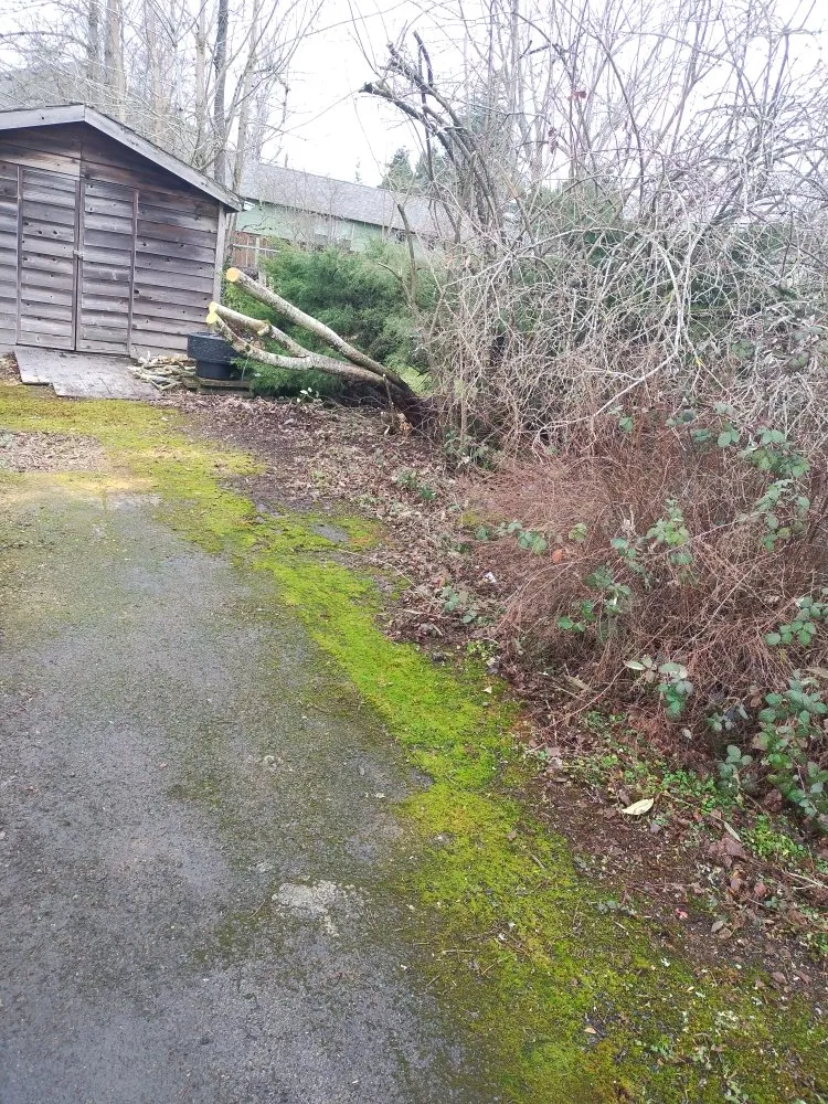 Trusted residential landscaping for residential properties in Tualatin, OR by Hoot & Holler