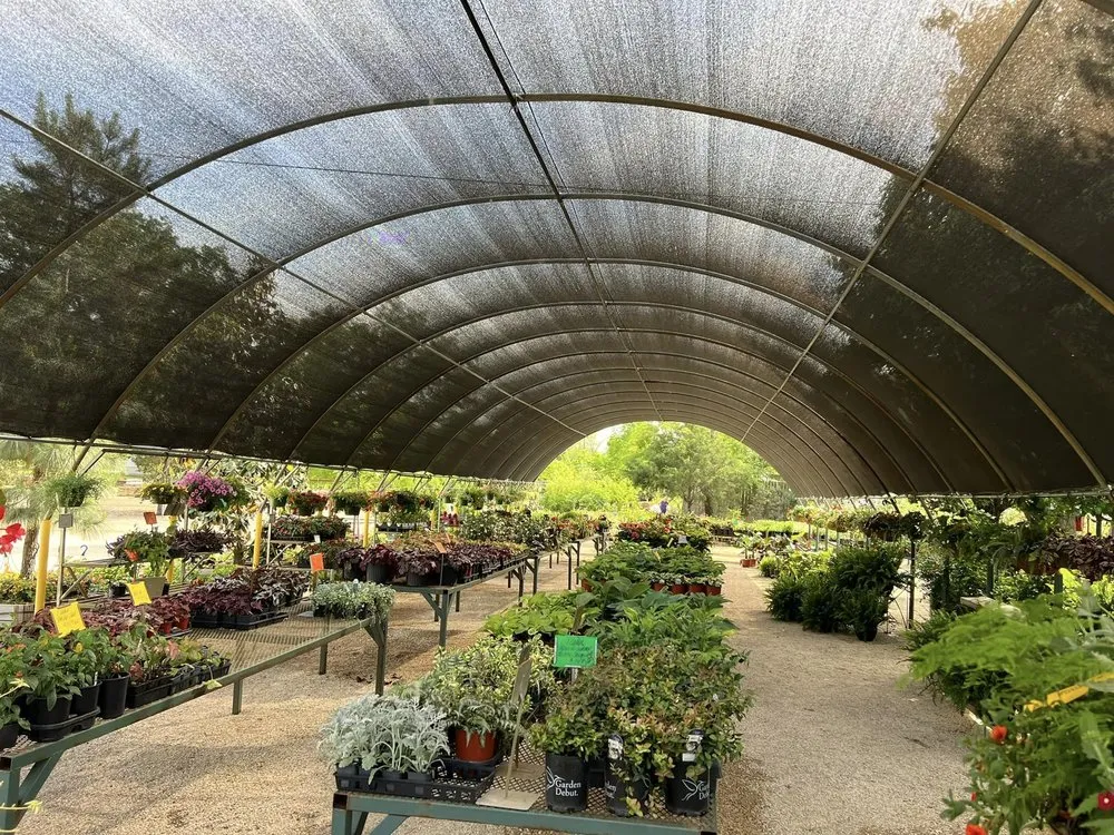 Top-rated residential landscaping in Emory, TX by Hootens Lawn & Tree Service