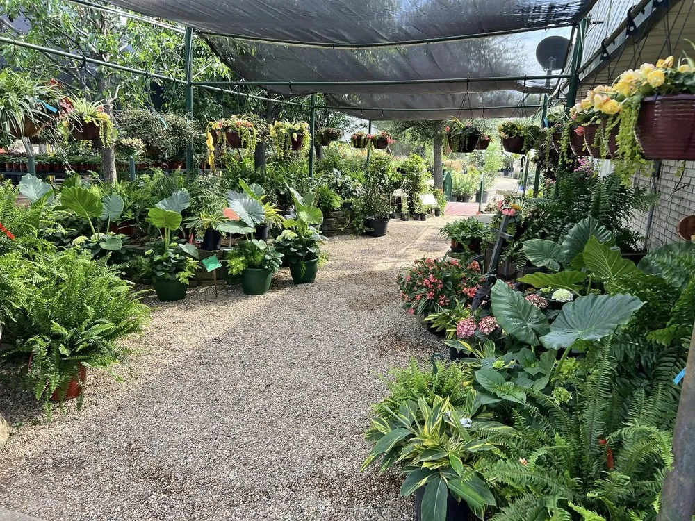 Expert lawn care service for outdoor upgrades across Emory, TX - Hootens Lawn & Tree Service