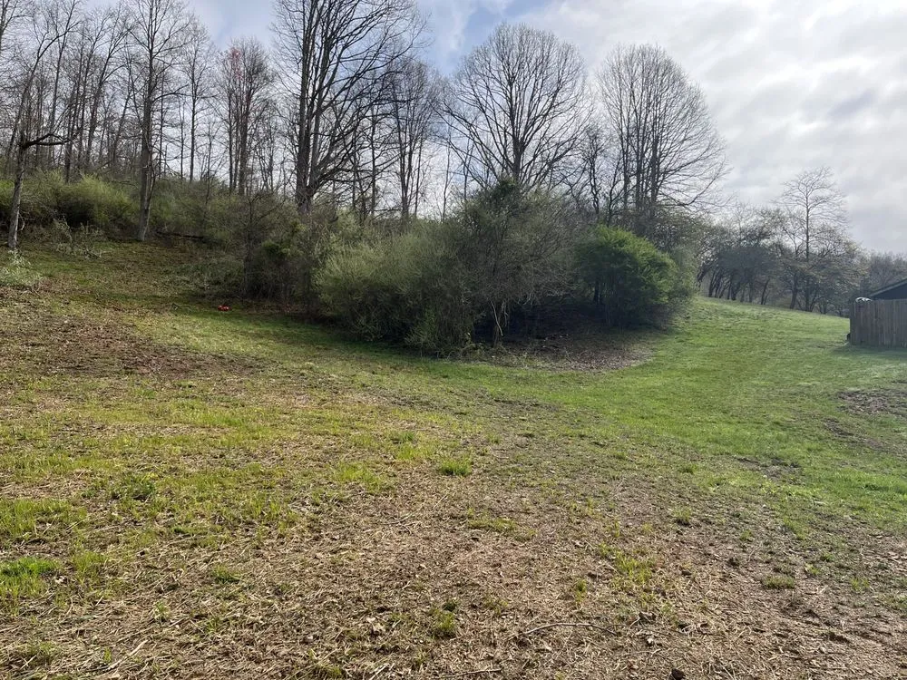 Expert lawn care service experts serving Weston, WV - Hootons Property Care