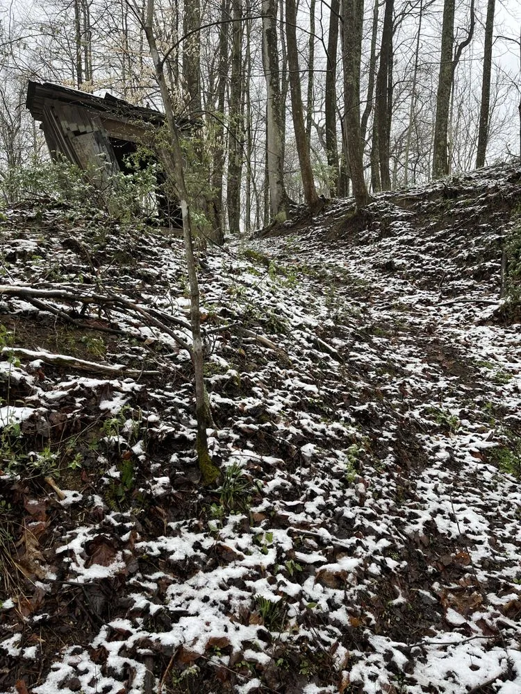 Local garden landscaping experts serving Weston, WV - Hootons Property Care