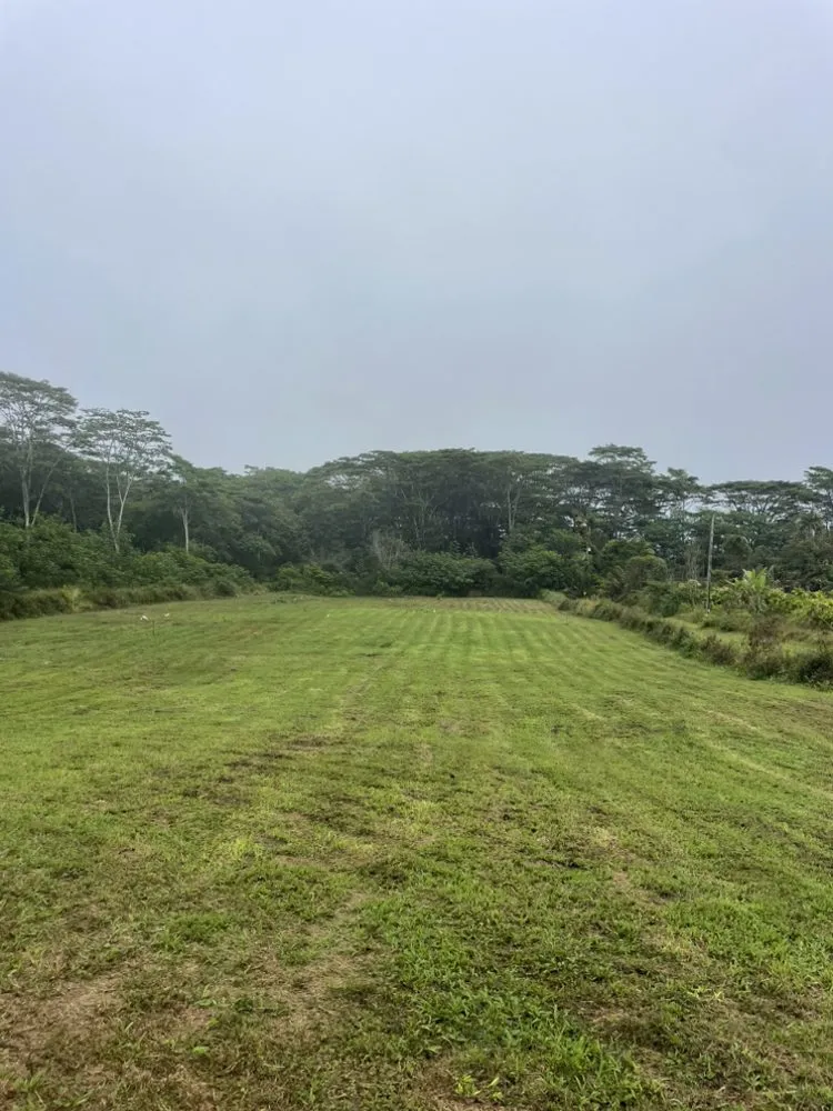 Expert landscaping services for outdoor upgrades across Hilo, HI - Hooulu Landscape & Yard Maintenance