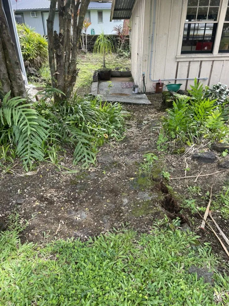 Reliable yard cleanup service in Hilo, HI - Hooulu Landscape & Yard Maintenance