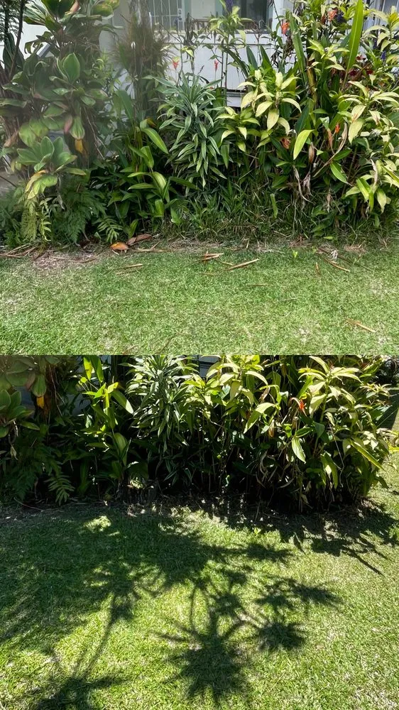 Trusted lawn care service for beautiful yards in Hilo, HI by Hooulu Landscape & Yard Maintenance