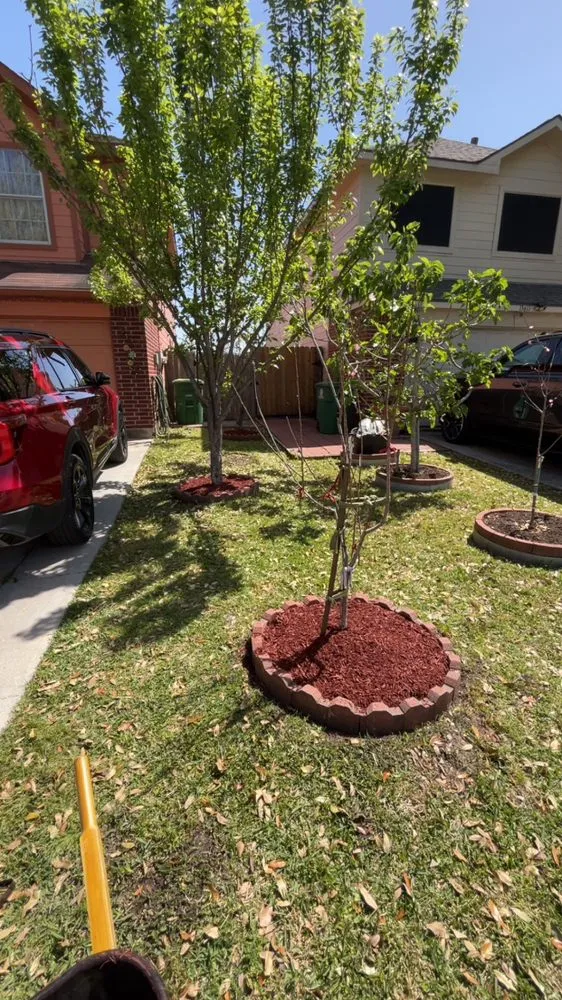 Reliable garden landscaping for beautiful yards across Highlands, TX - Hoovers Landscaping and Lawn Care