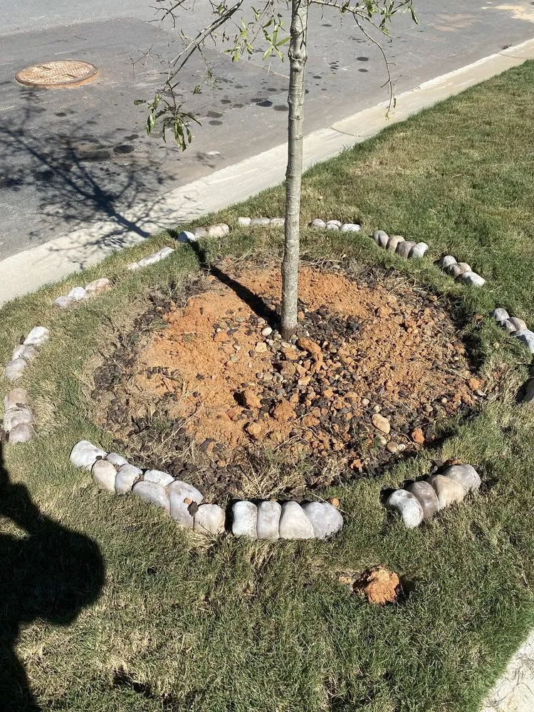 Expert lawn care service in Charlotte, NC - Hoovers Landscaping