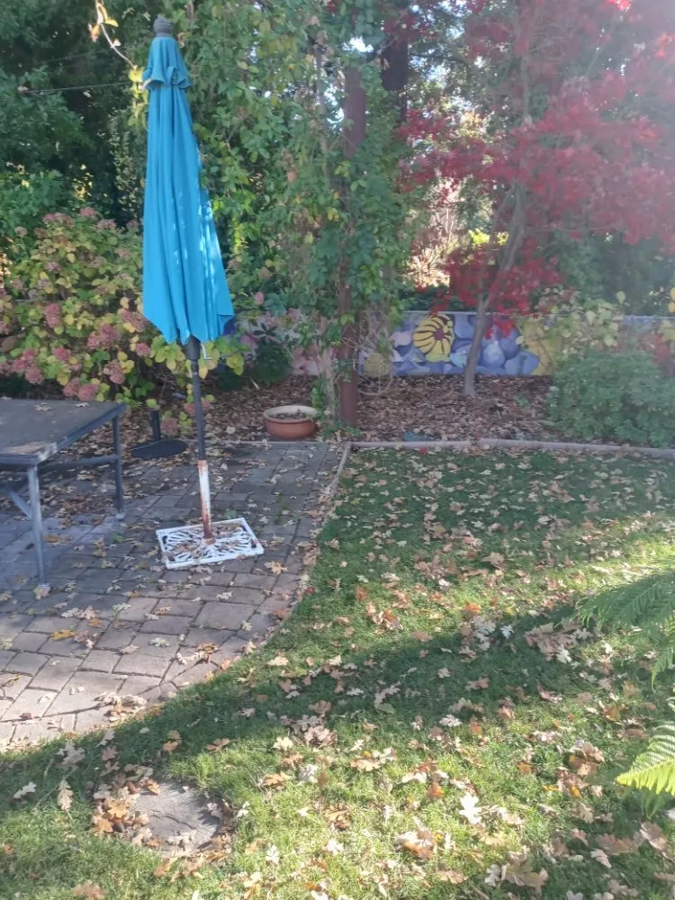 Local garden landscaping in Antioch, CA - Hoovers Mobile Lawn Care