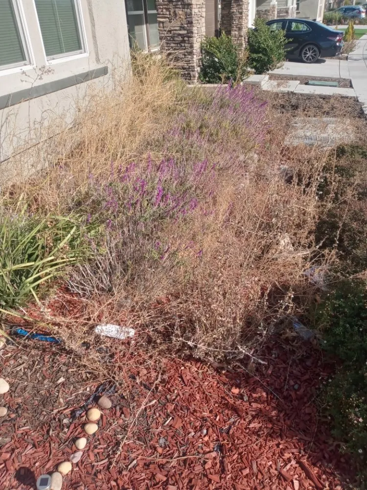 Trusted garden landscaping in Antioch, CA by Hoovers Mobile Lawn Care