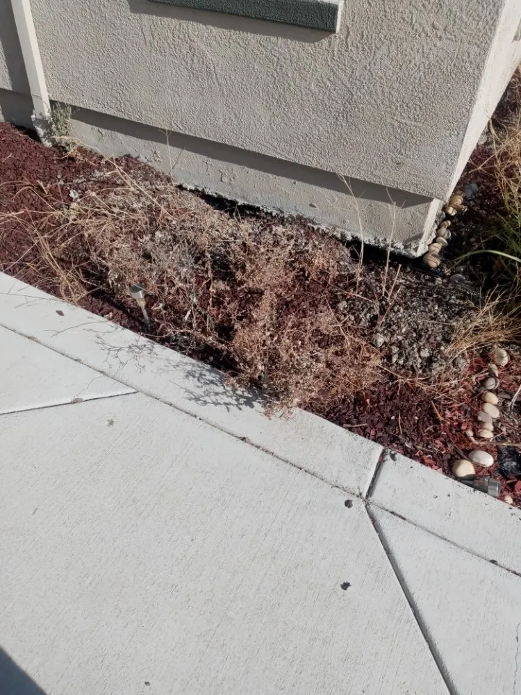 Affordable outdoor landscaping with custom design in Antioch, CA by Hoovers Mobile Lawn Care