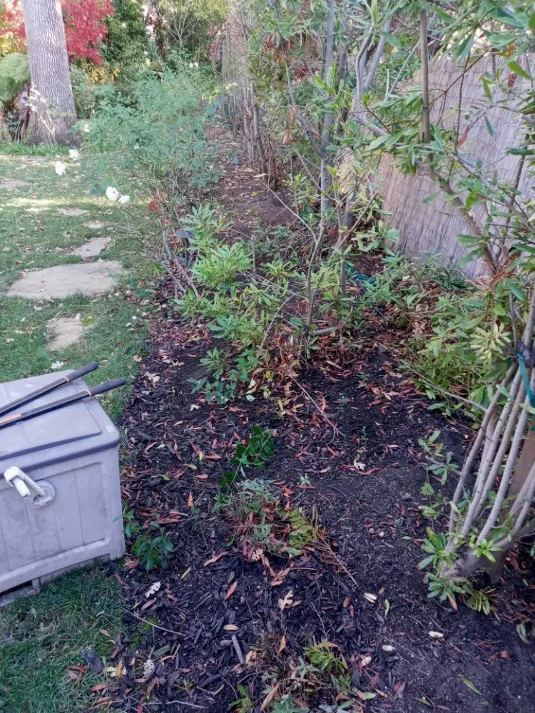 Top-rated landscape installation in Antioch, CA by Hoovers Mobile Lawn Care