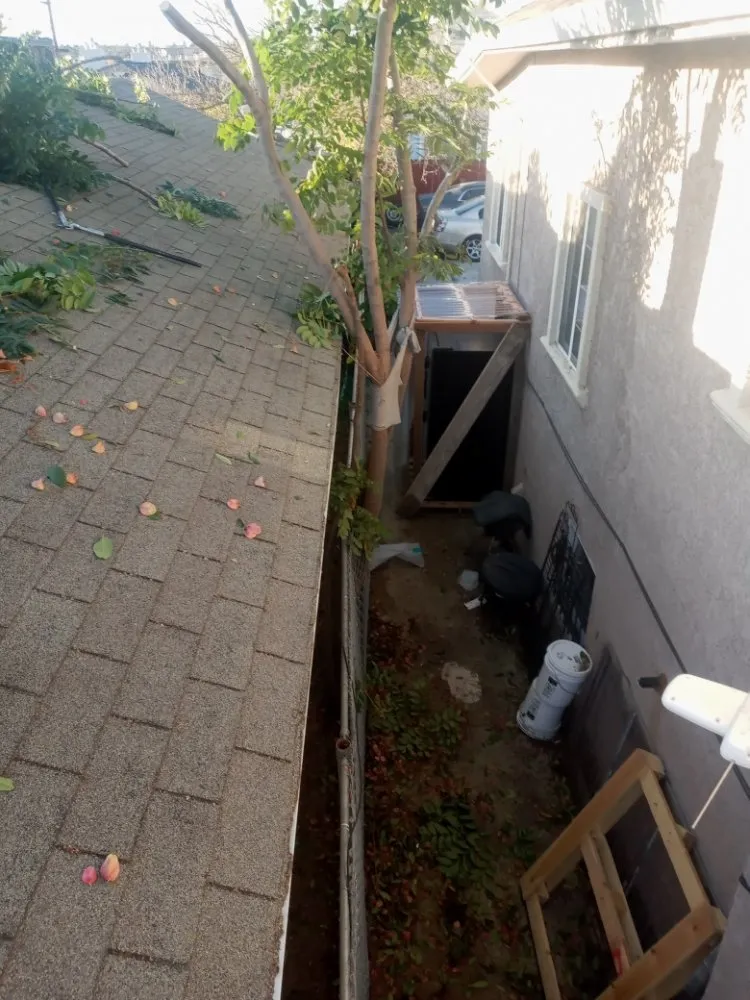 Custom yard cleanup service near you across Antioch, CA - Hoovers Mobile Lawn Care