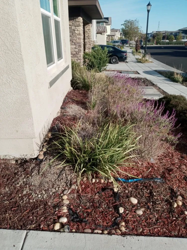 Professional lawn mowing service experts serving Antioch, CA - Hoovers Mobile Lawn Care