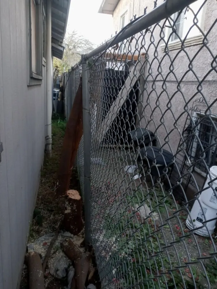 Reliable yard cleanup service experts serving Antioch, CA - Hoovers Mobile Lawn Care