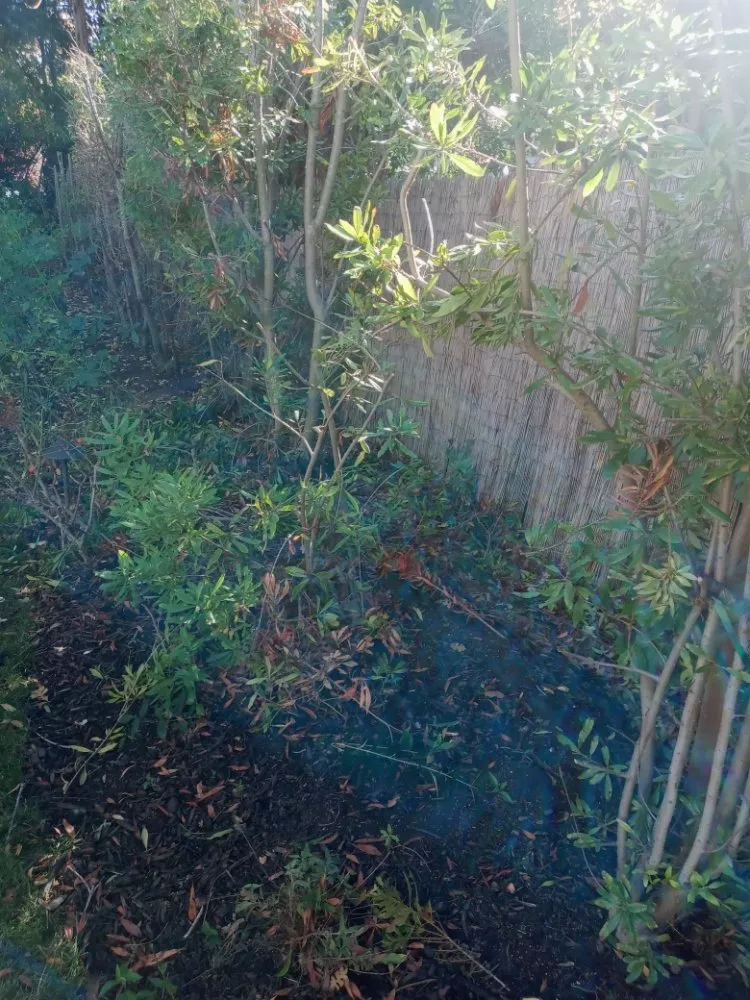 Affordable yard maintenance in Antioch, CA - Hoovers Mobile Lawn Care