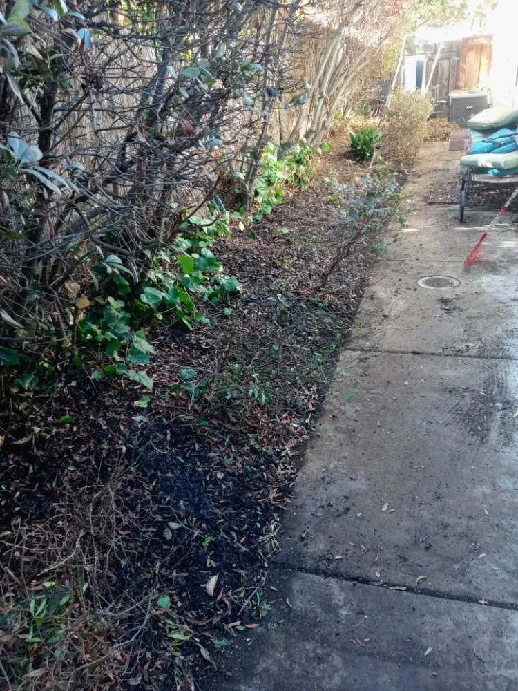 Affordable landscaping services in Antioch, CA by Hoovers Mobile Lawn Care