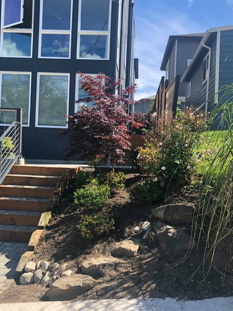 Expert yard maintenance in Seattle, WA by Hop Landscaping Services