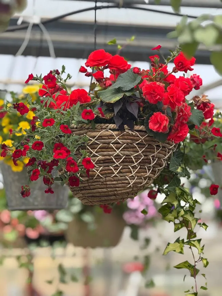 Professional residential landscaping in Pine Island, MN - Hope Farms