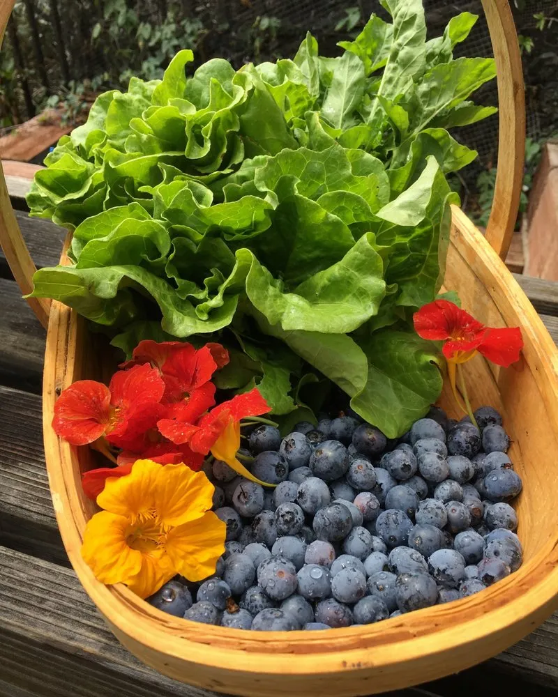 Custom outdoor landscaping in Los Angeles, CA - Hope Gardens