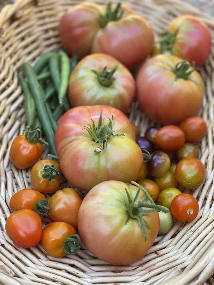 Trusted residential landscaping experts serving Los Angeles, CA - Hope Gardens