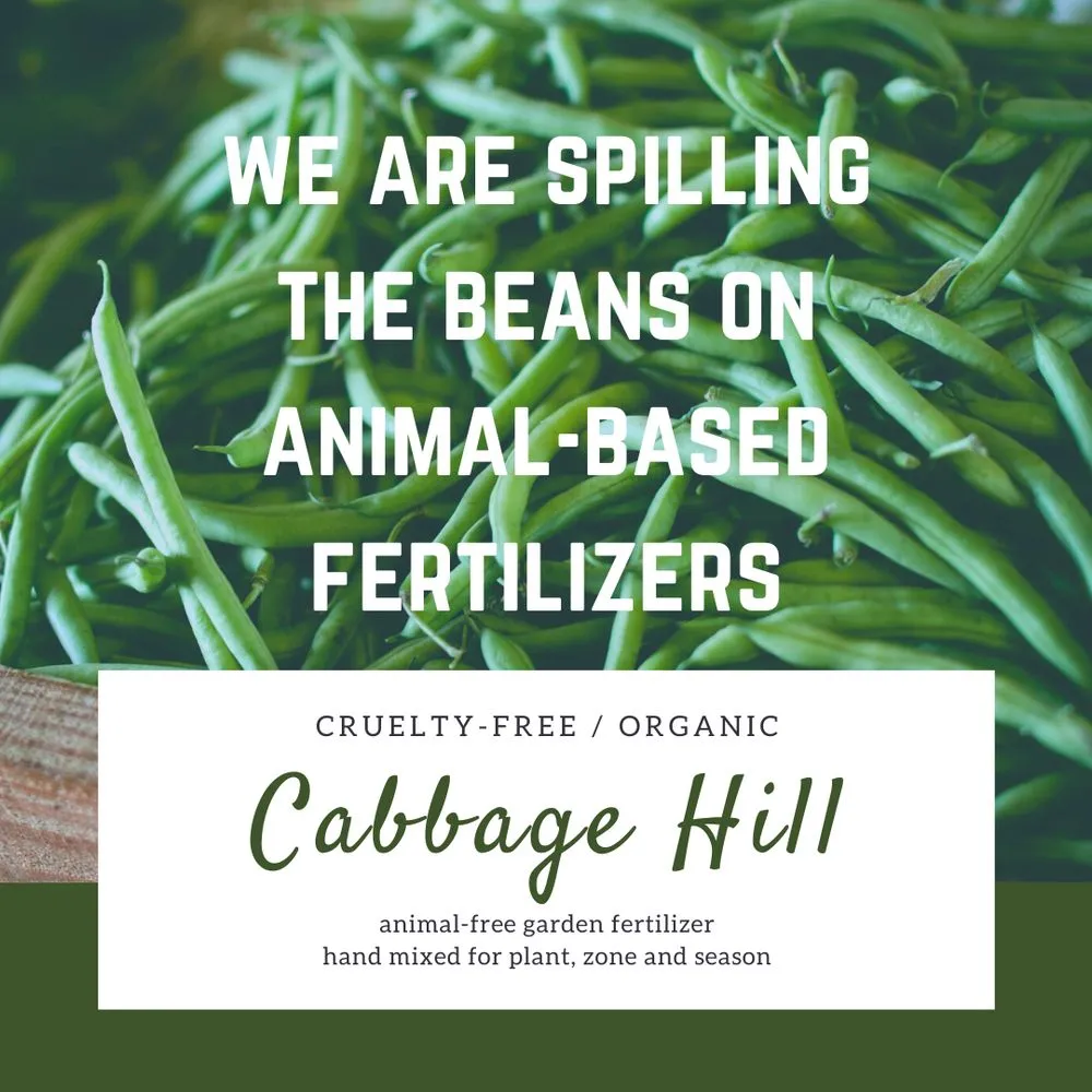 Affordable landscape design in Los Angeles, CA by Hope Gardens