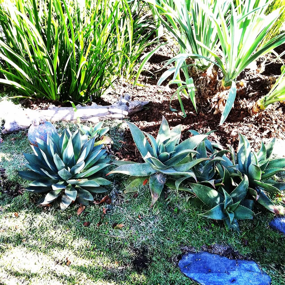 Top-rated outdoor landscaping for outdoor upgrades across Los Angeles, CA - Hope Gardens