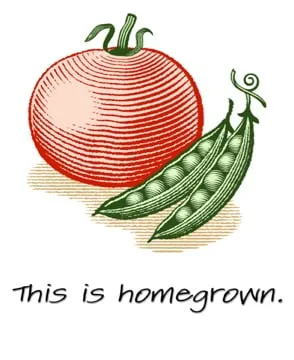 Top-rated outdoor landscaping in Los Angeles, CA by Hope Gardens