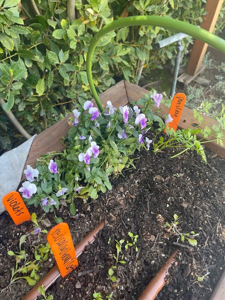 Trusted landscape installation in Los Angeles, CA - Hope Gardens