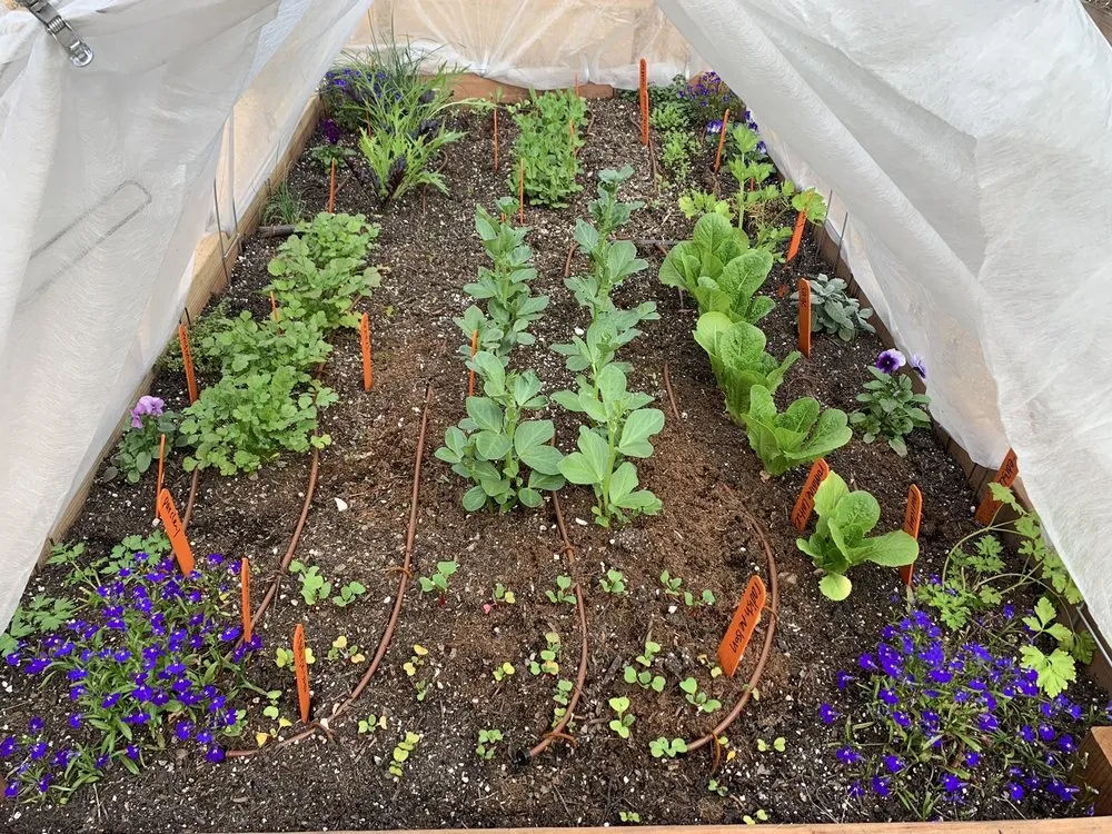 Professional residential landscaping experts serving Los Angeles, CA - Hope Gardens