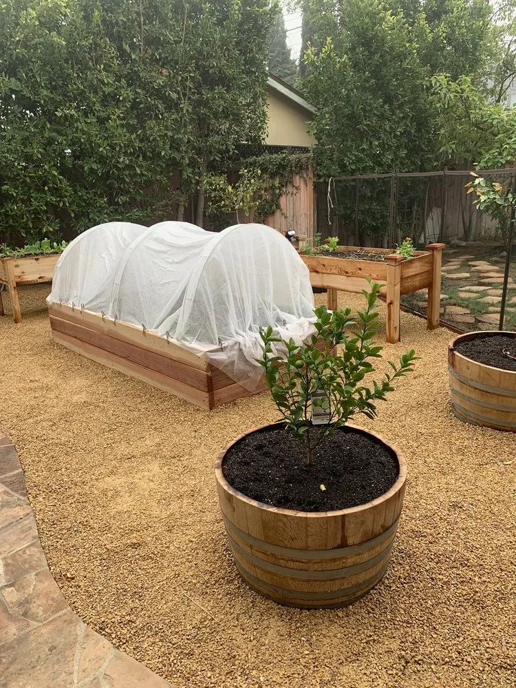 Affordable garden landscaping in Los Angeles, CA by Hope Gardens