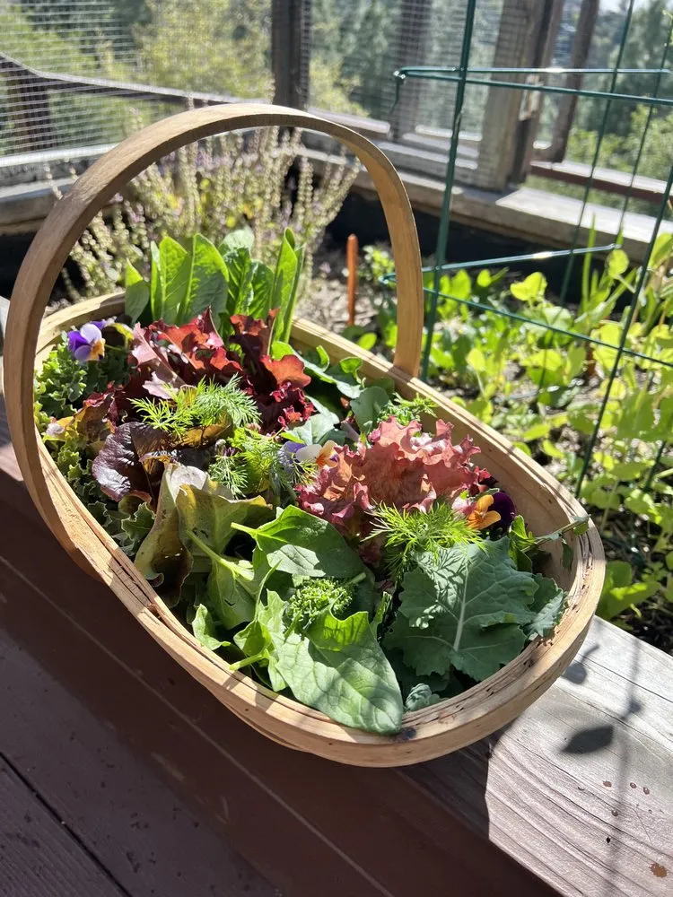 Local yard maintenance near you in Los Angeles, CA by Hope Gardens