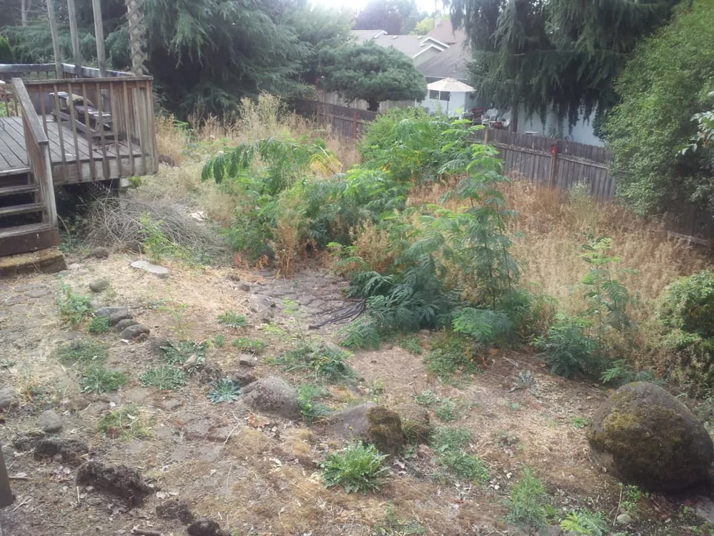 Local lawn care service in Vancouver, WA by Hope Landscaping LLC