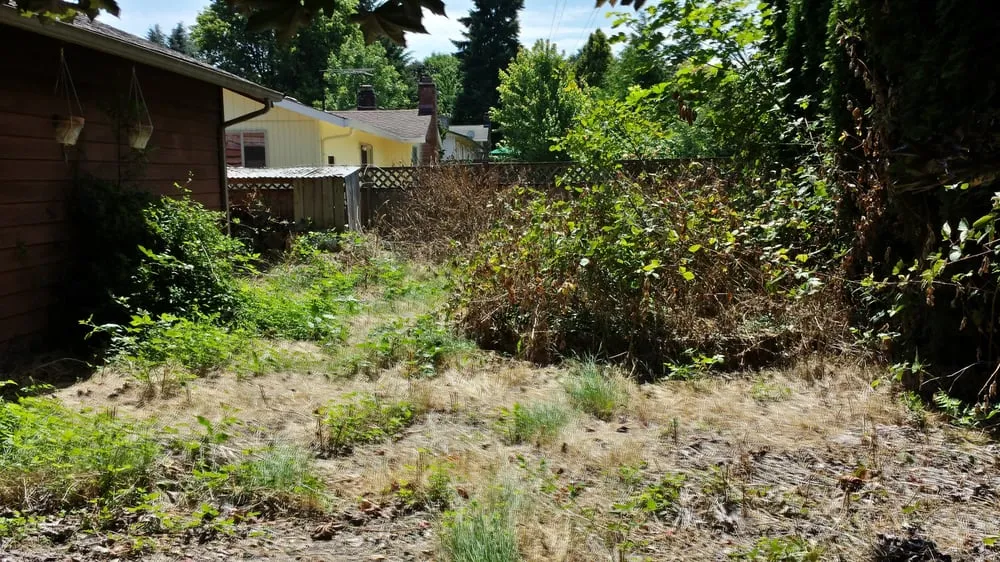 Local outdoor landscaping in Vancouver, WA by Hope Landscaping LLC